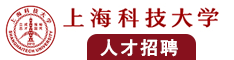 大屌入屄视频